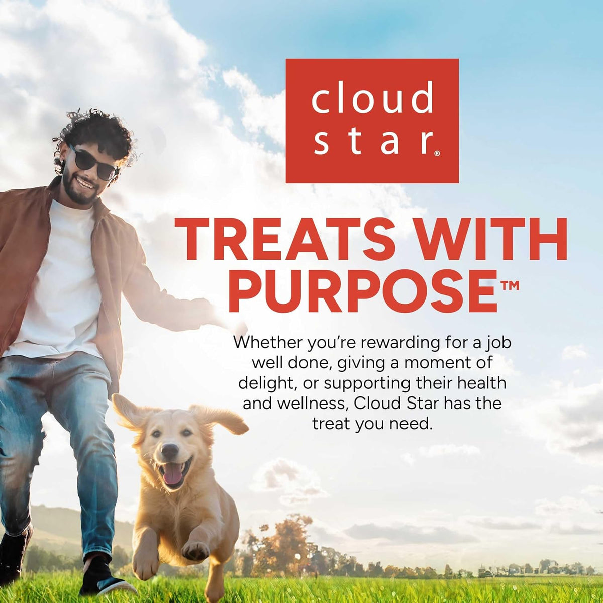 Training Rewards Mini Soft & Chewy Dog Treats, Chicken, 10 Oz