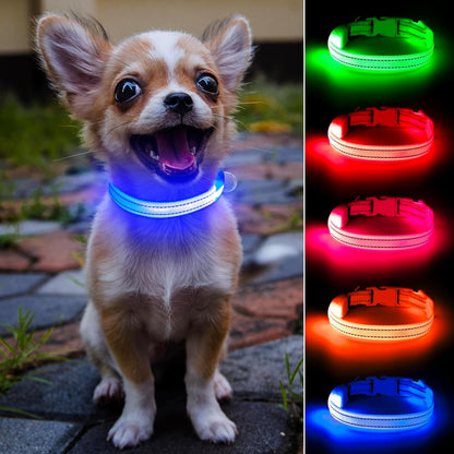 Reflective LED Rechargeable Dog Collar for Small Dogs and Cats - Royal Blue Safety Light for Night Walking