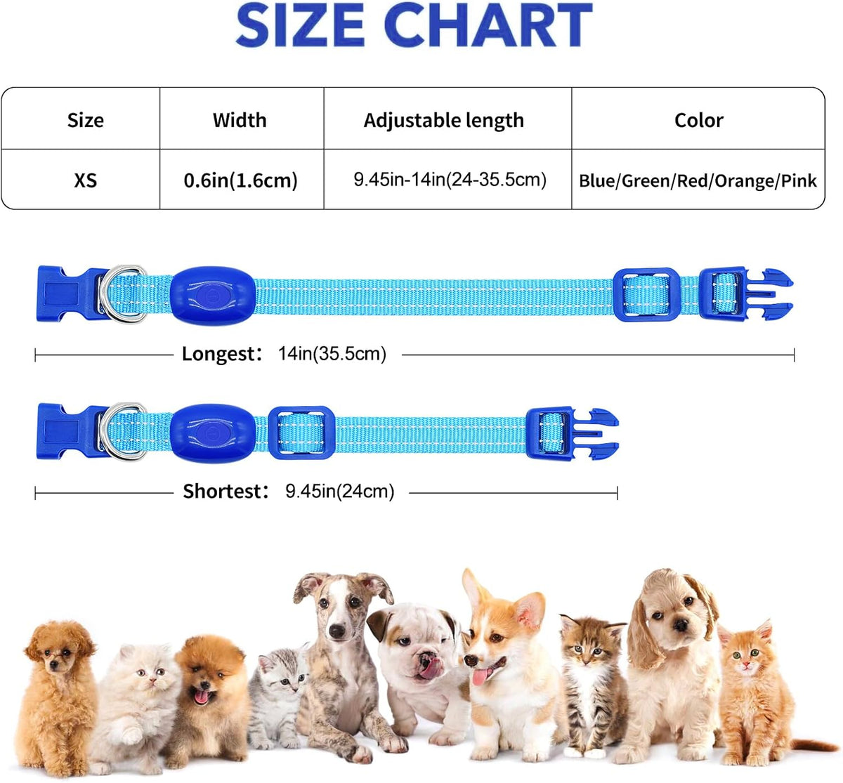 Reflective LED Rechargeable Dog Collar for Small Dogs and Cats - Royal Blue Safety Light for Night Walking